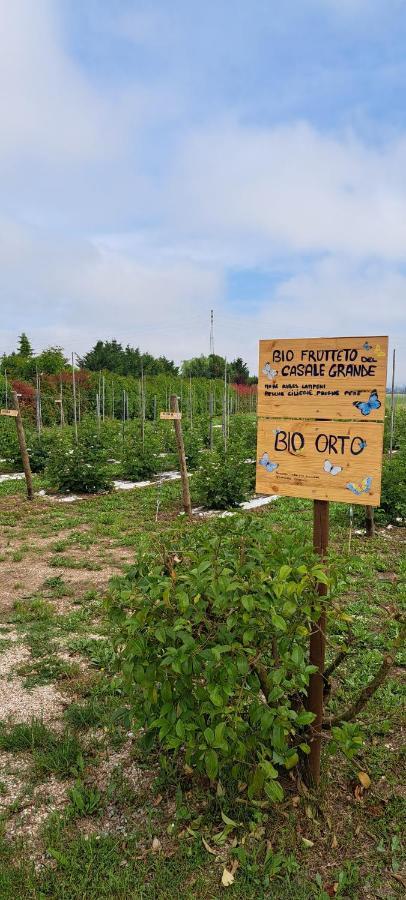 Agriturismo Il Casale Grande Vendégház Beroide Kültér fotó